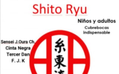 Karate Shito Ryu