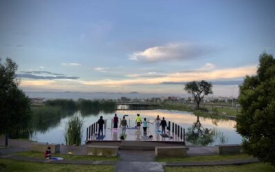 Yoga y Meditación