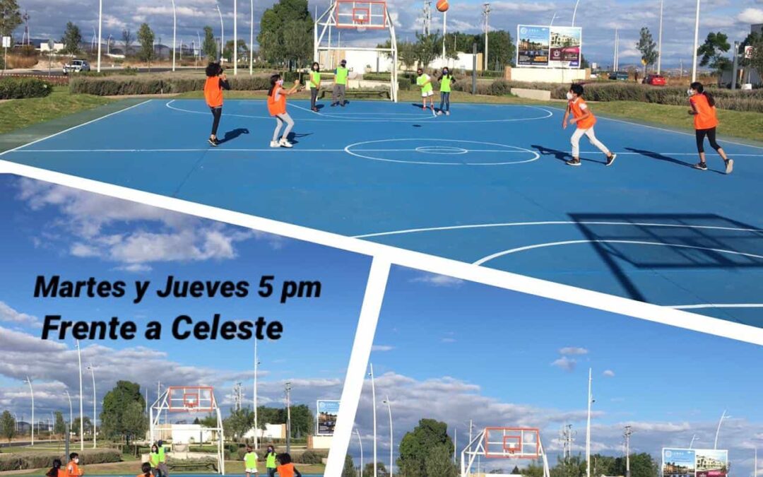 Basquetbol