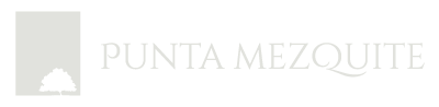 Punta Mezquite
