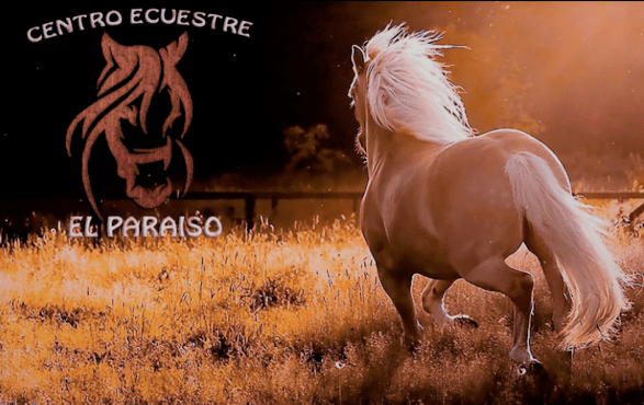 Centro Ecuestre El Paraiso