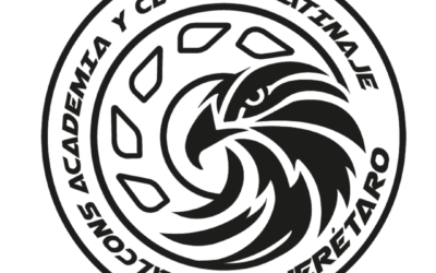 Falcons Academia
