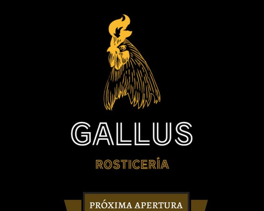 Sabino51, Gallus
