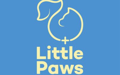 Sabino51, Little Paws